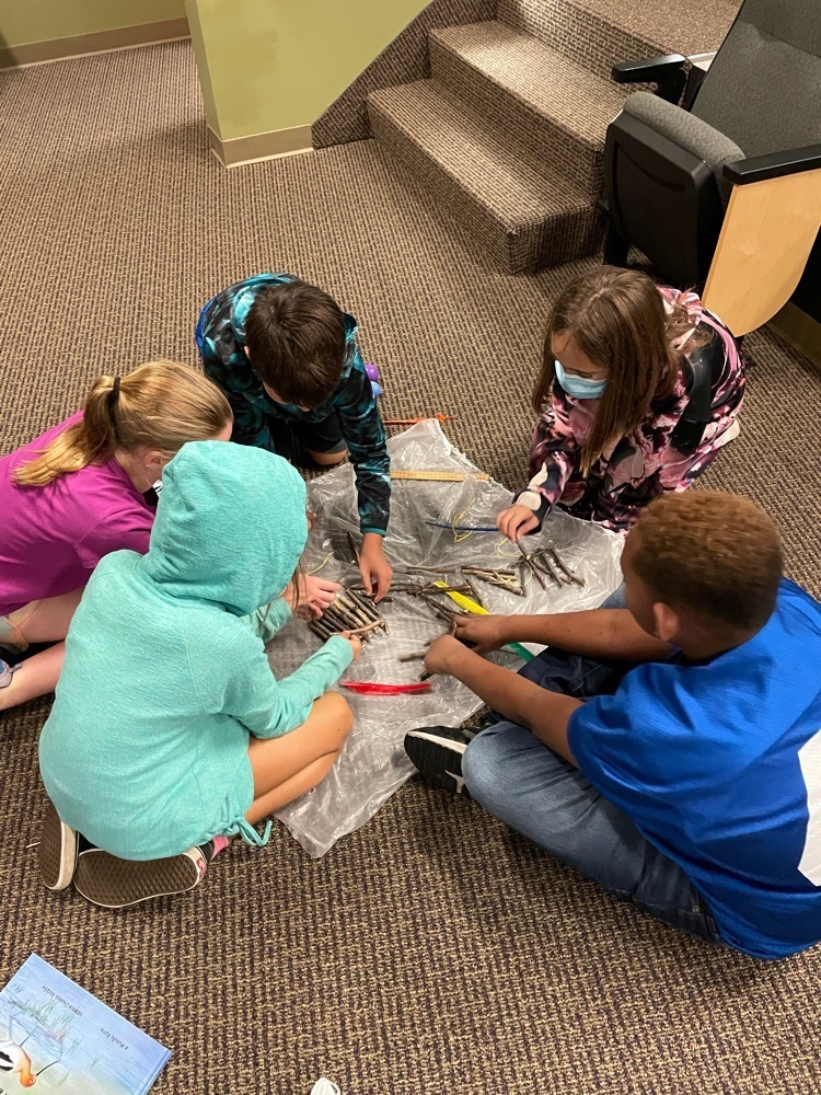 nest making