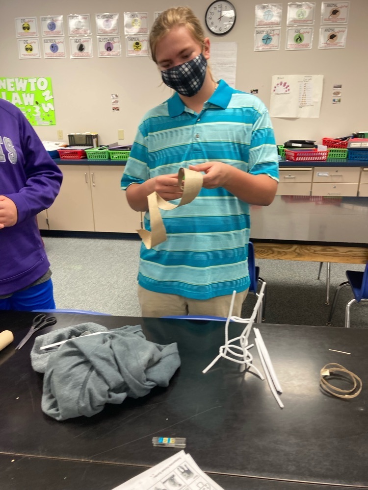 stem